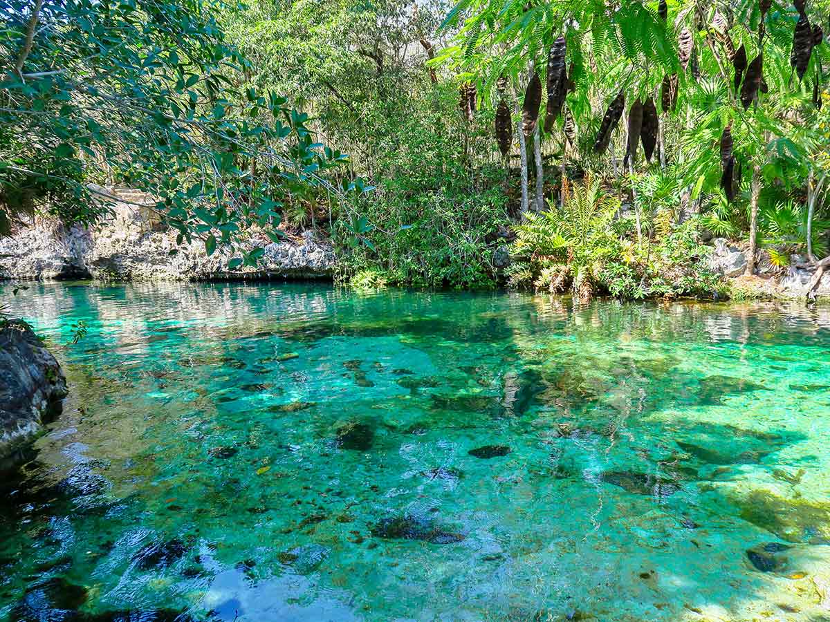 Cenote Jardin del Eden 