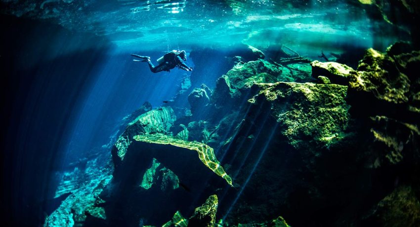 The Top 8 Most Amazing Cenotes Near Cancun